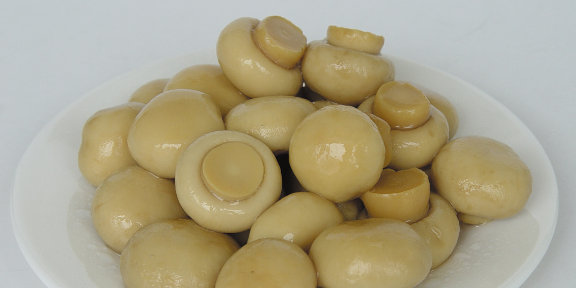 Canned Mushrooms